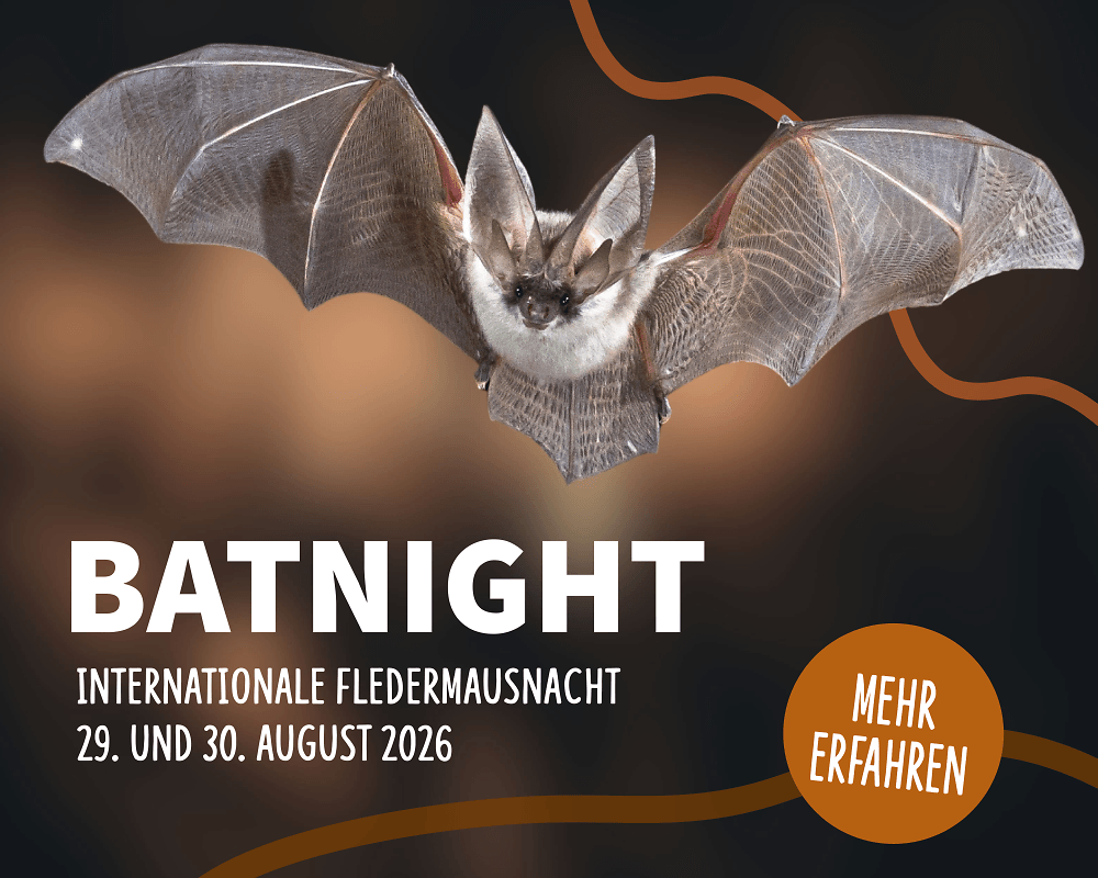 NABU_Shop_Batnight_m