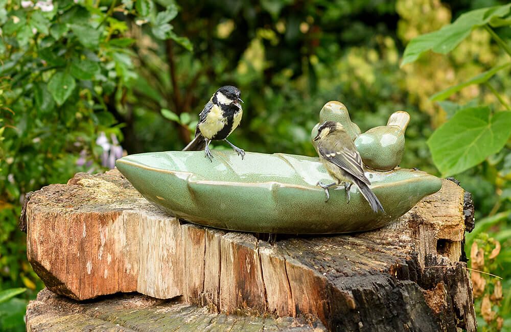 Eine Vogeltränke aus Beton, an der sich zwei Kohlmeisen versammelt haben.