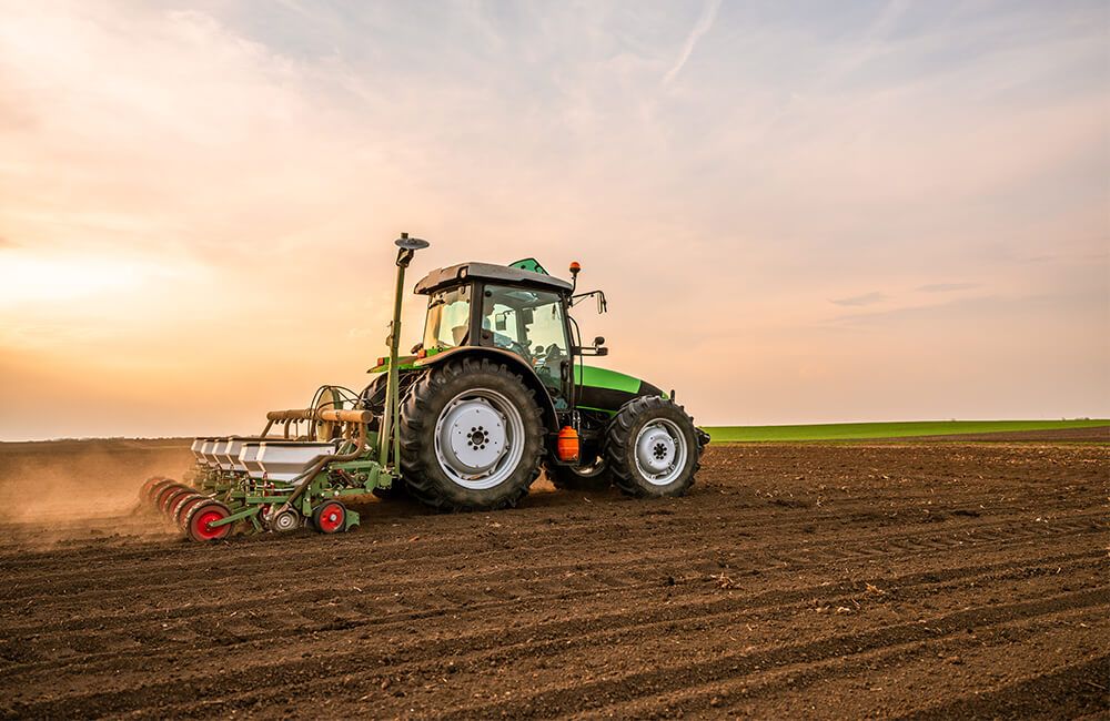 Agrarland_ohne_blumen_1