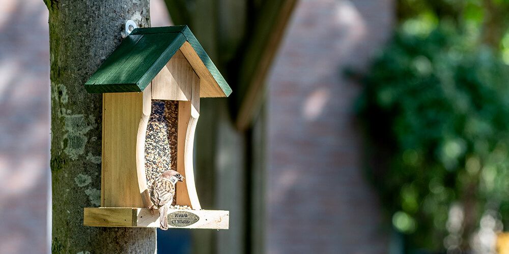 futterhaus_spatz