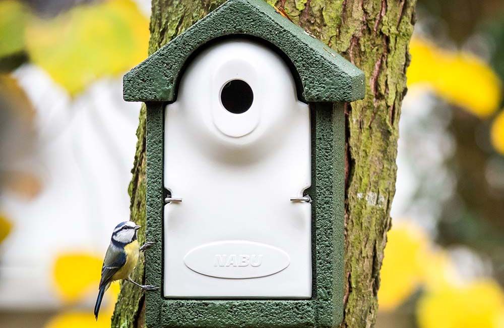 Nistkasten_mit_NABU_logo