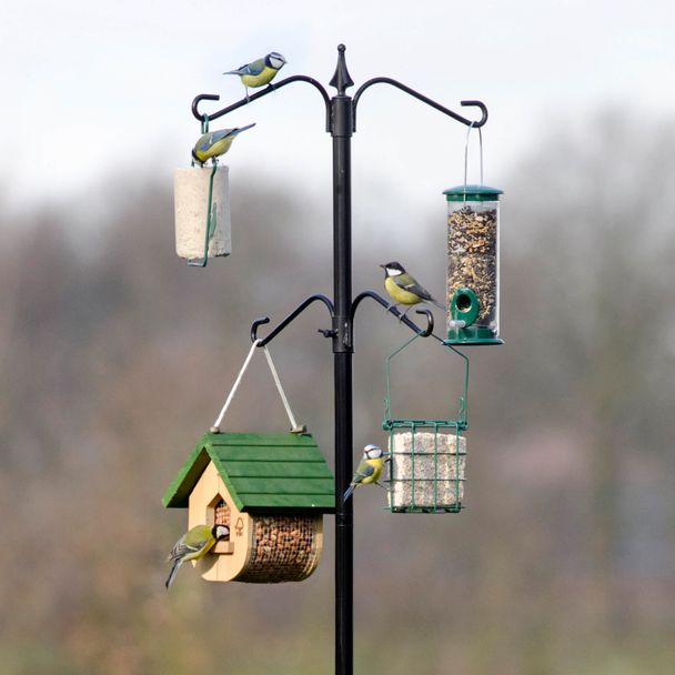 Starter-Set ‚‚All inclusive‘‘ mit Pfahlsystem