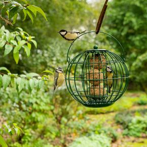 Meisenknödelhalter London