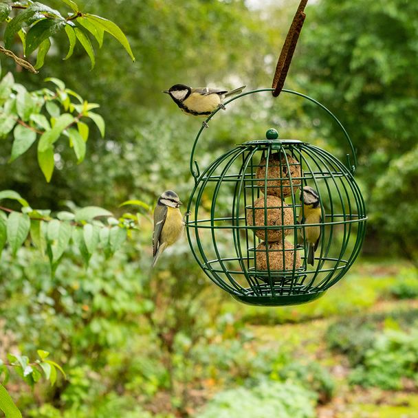 Meisenknödelhalter London