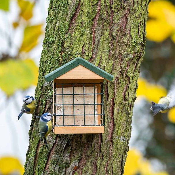 Wandenergieblockhalter Ohio