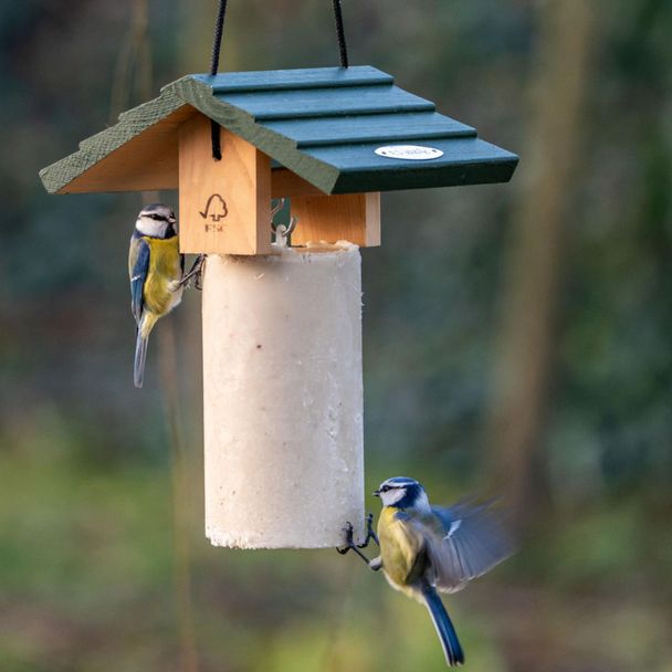 Energiekuchen-Haus „Claviere“