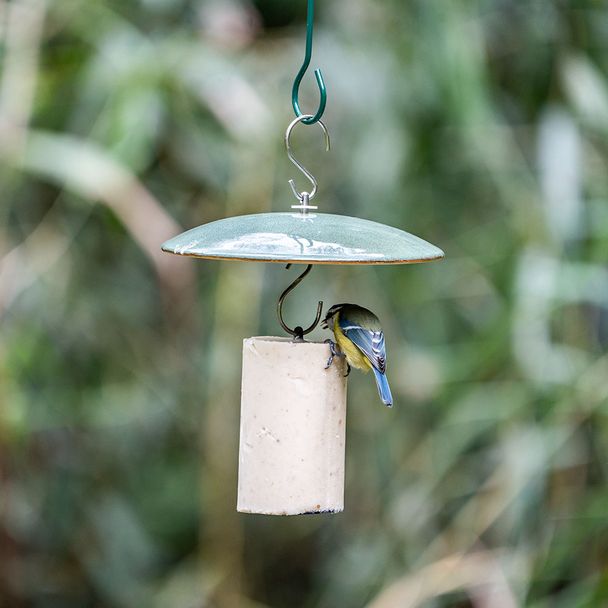 Energiekuchenhalter „Vierno“