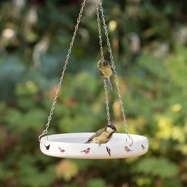 Vogeltränke Gartenvögel