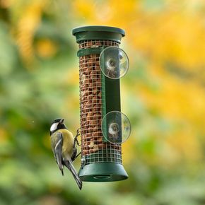 Fenster-Erdnusssäule „Chicago“