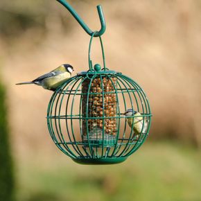 Erdnusssäule London