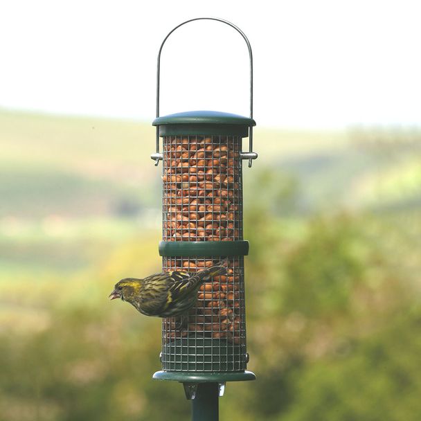 Erdnusssäule Hamburg, klein