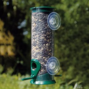 Fenster-Futtersäule „Discovery“