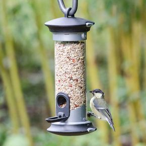 Futtersäule Apollo, 2 Öffnungen