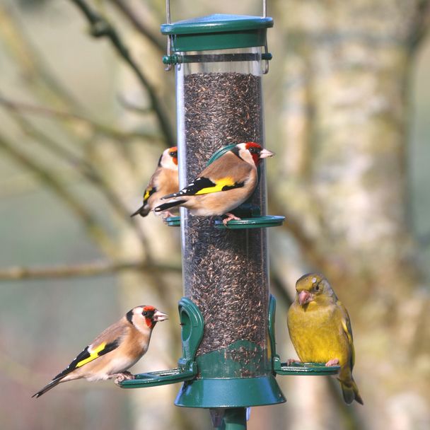 Nigersaaten-Säule aus Metall