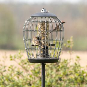 Schutz-Futtersäule für kleine Vögel „Aura“