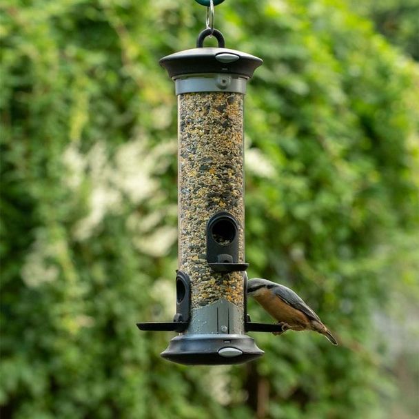 Starter-Set mit Saaten-Futtersäule Apollo und passendem Futter