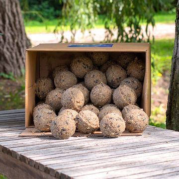 Premium-Meisenknödel mit Insekten, 50 Stück im Karton
