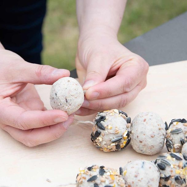 Vogel-Erdnussbutter Knetmasse 1 kg