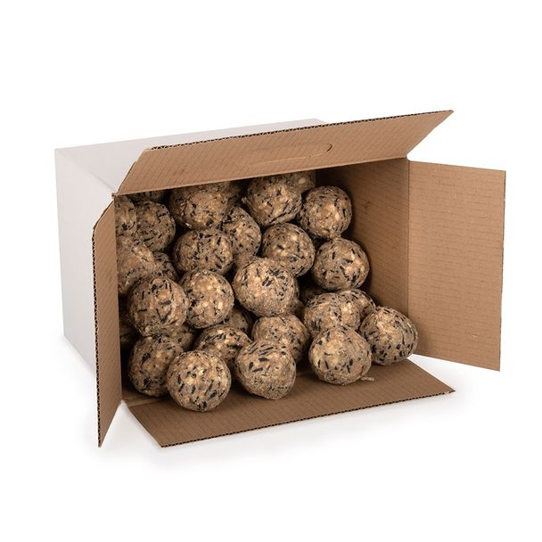 Premium-Meisenknödel, 50 Stück im Karton