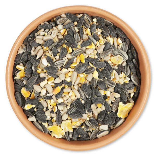 Energiereiche Samen, 2,5 - 10 kg
