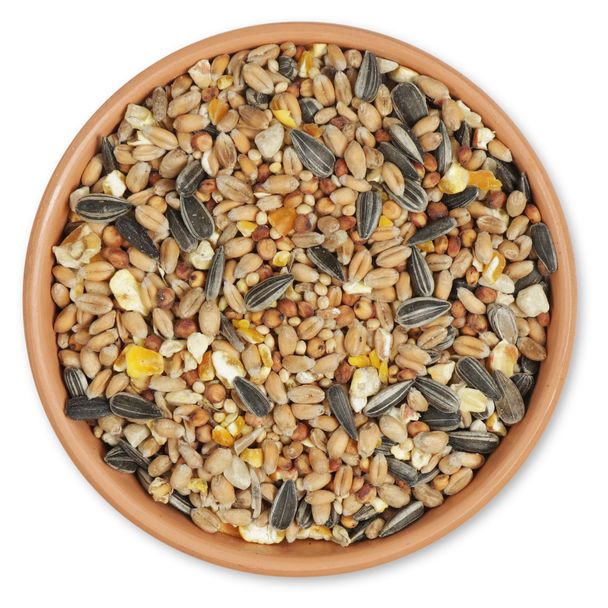 Basis-Streufutter 2,5 kg