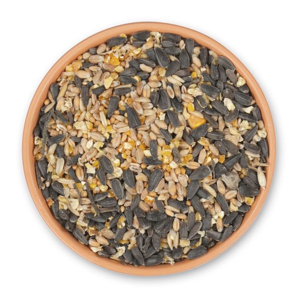 Green+ Streufutter 2,5kg  (biologischer Anbau)