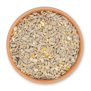 Bio-Samen Plus 2,5 kg
