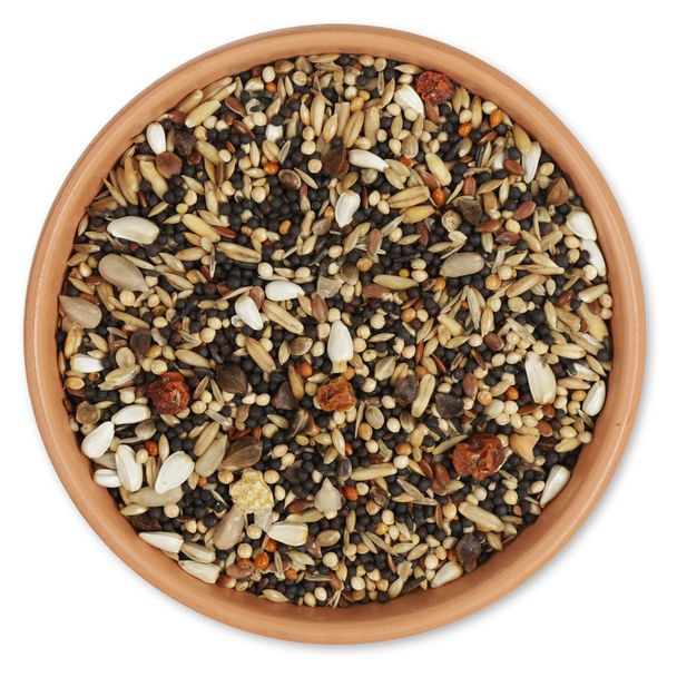 Premium Sommerfutter 2,5 kg