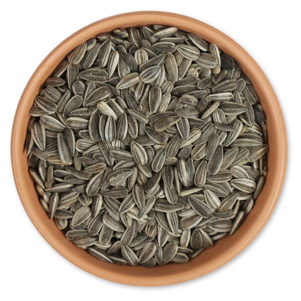 Gestreifte Sonnenblumenkerne, 1 - 10 kg