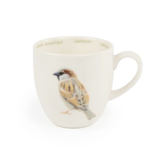 Tasse Haussperling