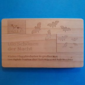 Diashow "Die Schönen der Nacht: kleine Flugakrobaten in großer Not"