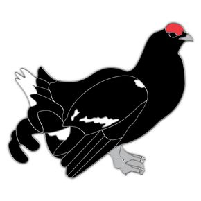 Ansteckpin Birkhuhn