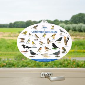 Fensterposter Gartenvögel