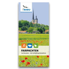 Fairpachten - Gut beraten - die Schöpfung bewahren (Digital)