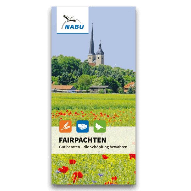 Fairpachten - Gut beraten - die Schöpfung bewahren (Digital)