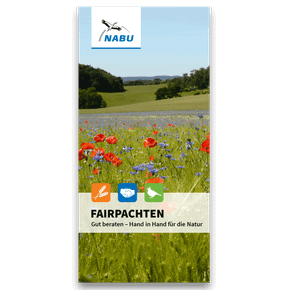 Fairpachten - Gut beraten - Hand in Hand für die Natur - Stand 2025 (Digital)