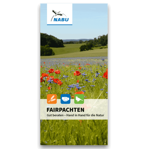 Fairpachten - Gut beraten - Hand in Hand für die Natur - Stand 2025 (Digital)