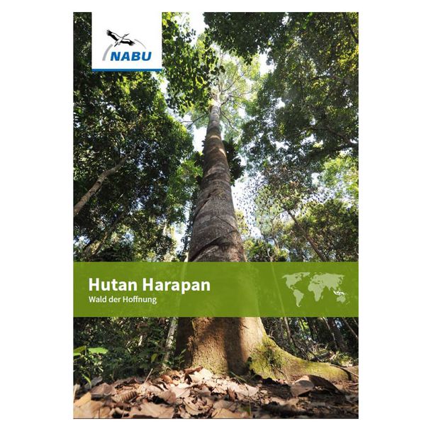 Hutan Harapan - Wald der Hoffnung (Digital)