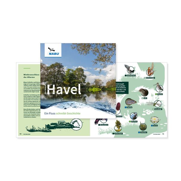 Broschüre Havel-Renaturierung - Ein Fluss schreibt Geschichte (Digital)