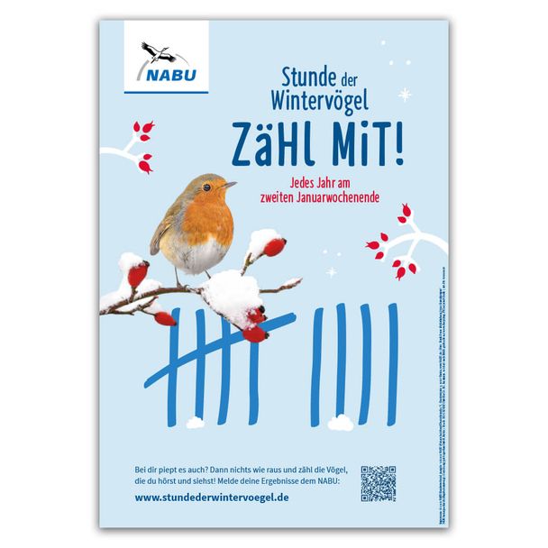 Plakat Stunde der Wintervögel