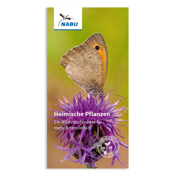 Heimische Pflanzen - Ein Wildstaudenbeet für mehr Artenvielfalt