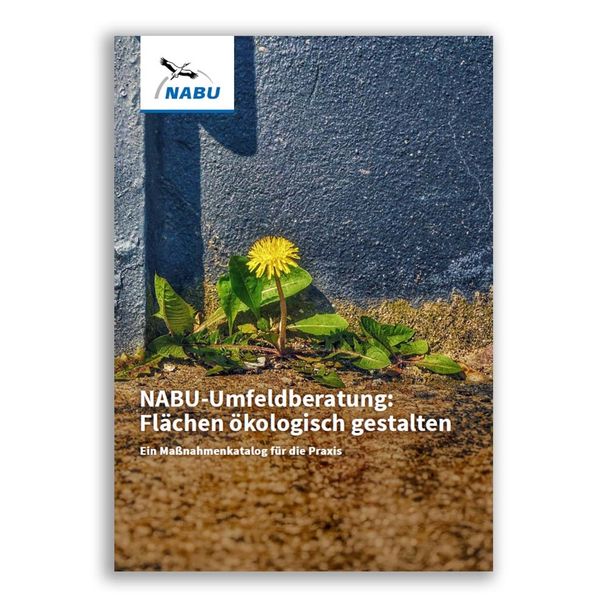 NABU-Umfeldberatung (Digital)