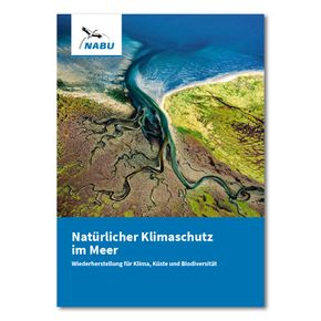 Natürlicher Klimaschutz im Meer