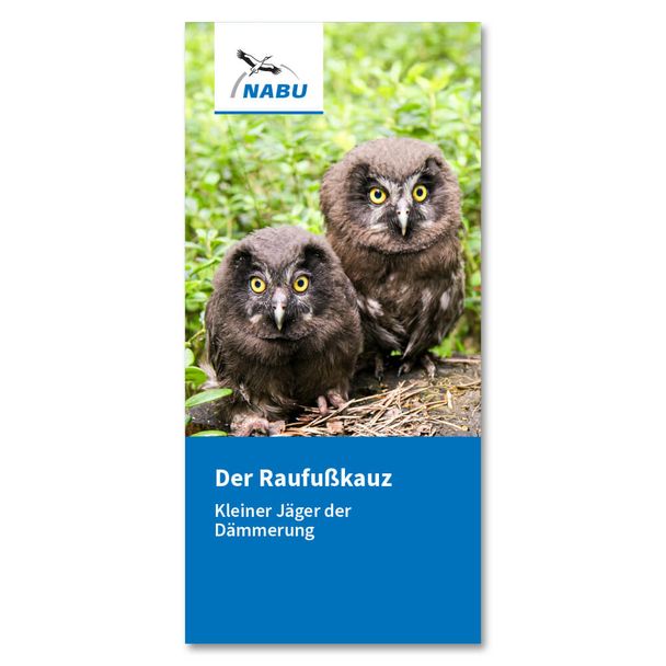 Faltblatt der Raufußkauz - Kleiner Jäger der Dämmerung (Digital)