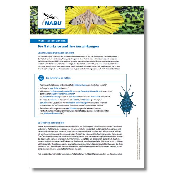Factsheet Naturkrise. Die Naturkrise und ihre Auswirkungen