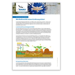 Factsheet Naturkrise - Wie Biodiversität unsere Ernährung sichert
