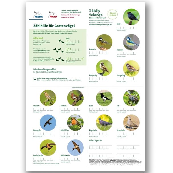 Zählhilfe Stunde der Gartenvögel zeitlos