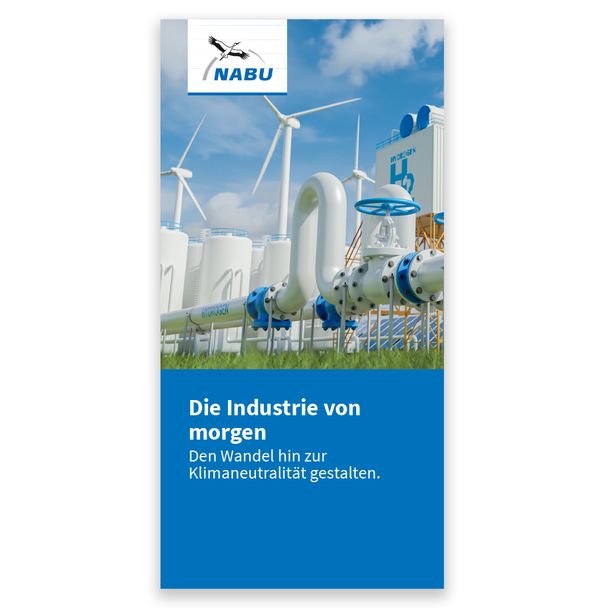 Die Industrie von morgen - Den Wandel hin zur Klimaneutralität gestalten (Digital)
