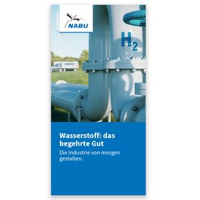 Wasserstoff: das begehrte Gut. Die Industrie von morgen gestalten. (Digital)