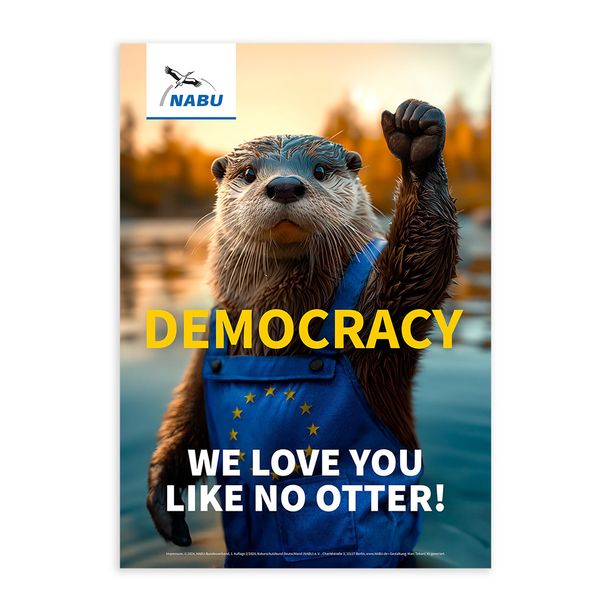 Otter Poster Democracy (Digital)